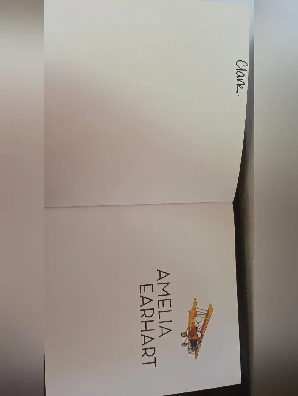 Amelia Earhart The Legend Of The Lost Aviator Book